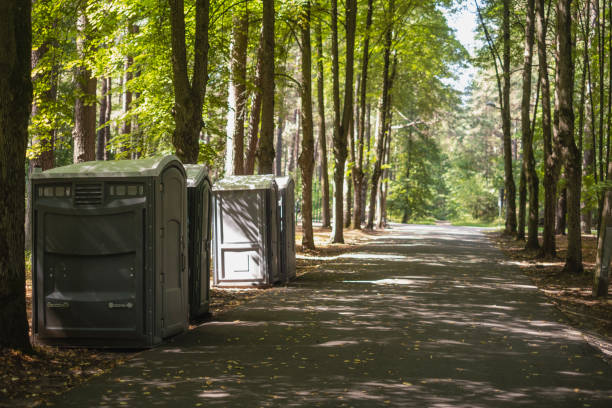 Best Best portable toilet rental  in Mahtomedi, MN